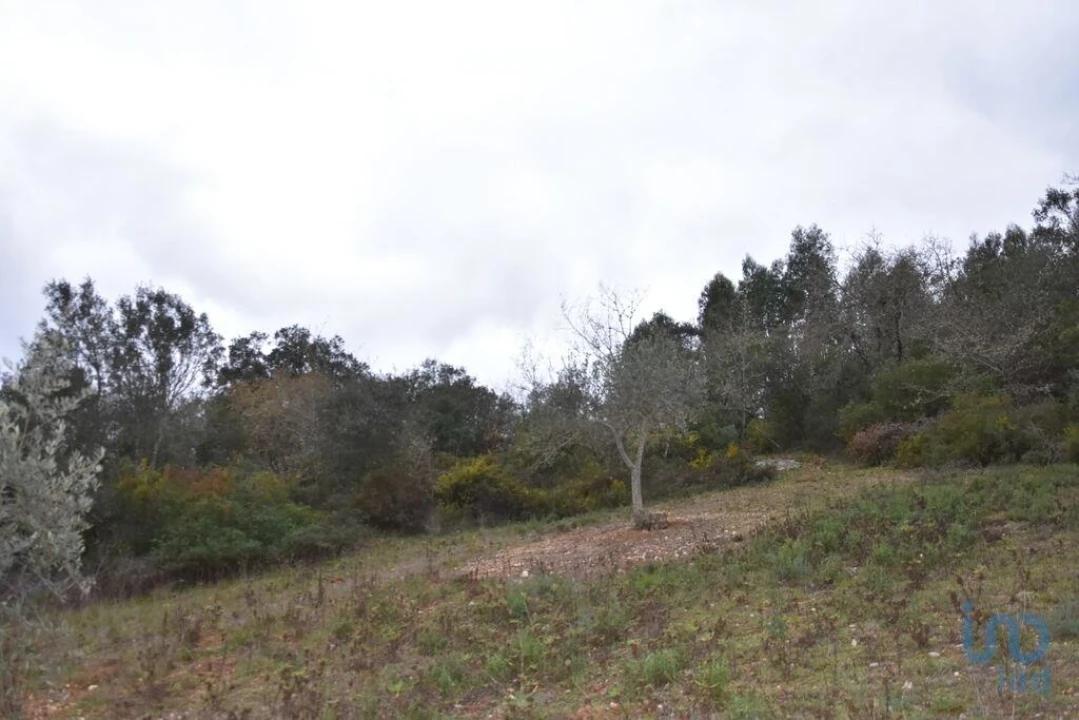 Terreno para Venda em Chãos Foto 6