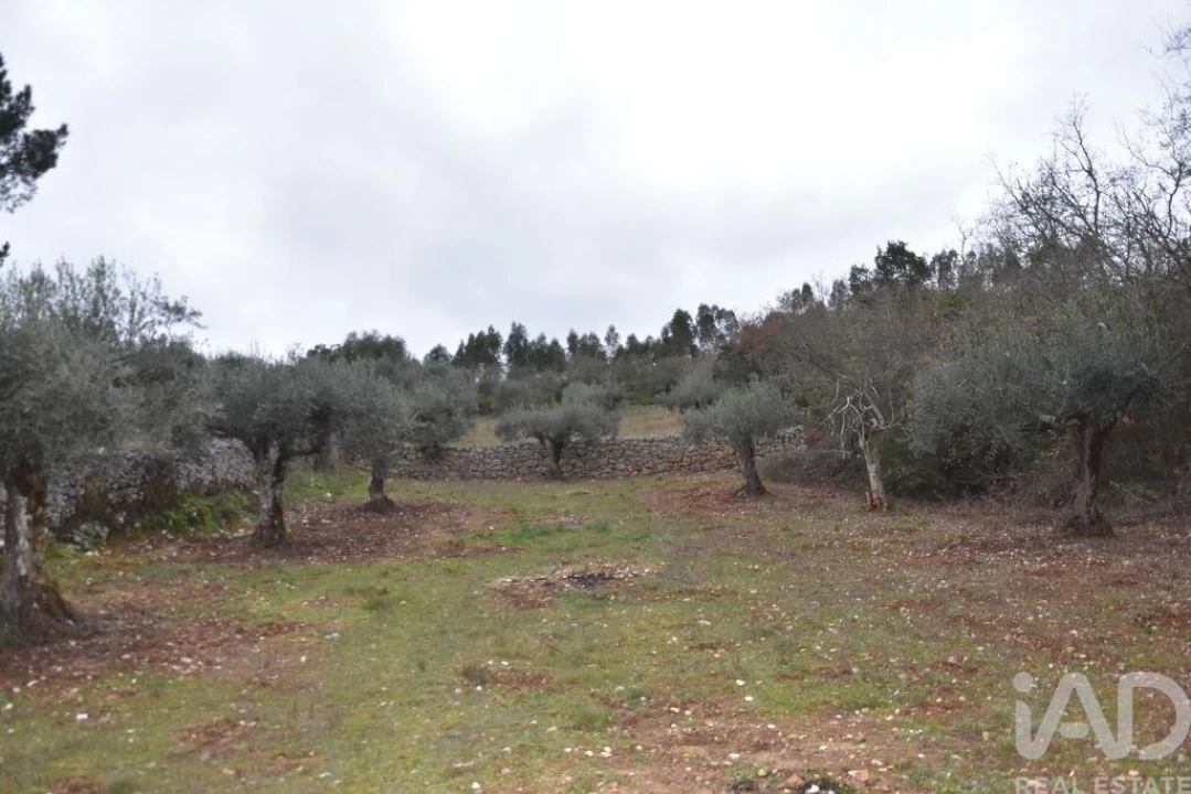 Terreno para Venda em Chãos Foto 16