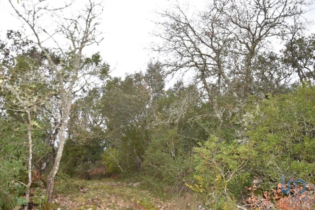 Terreno para Venda em Chãos Foto 5