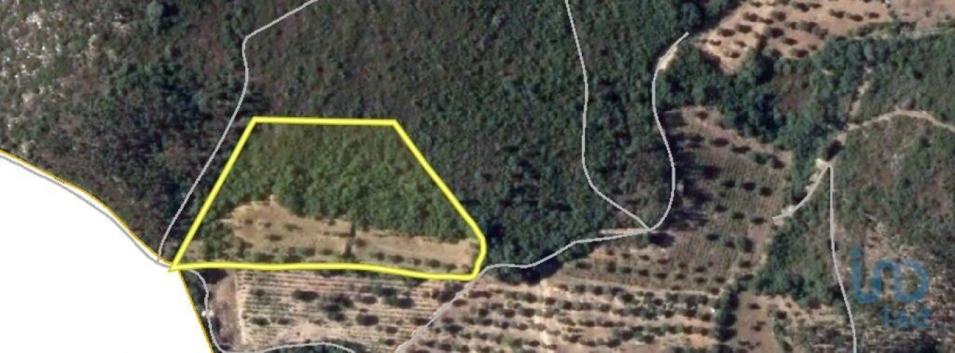 Terreno para Venda em Chãos Foto 1