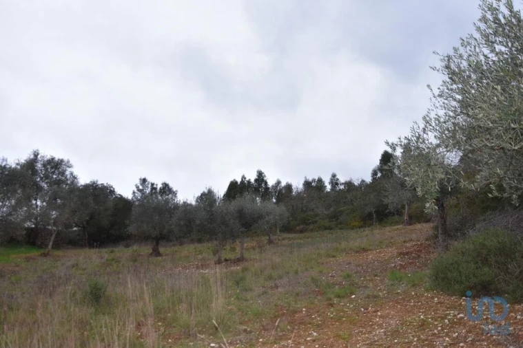 Terreno para Venda em Chãos Foto 8