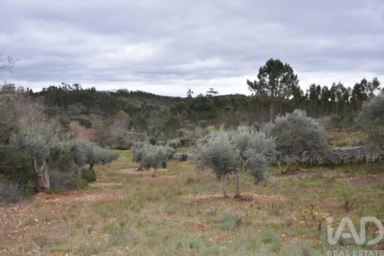 Terreno para Venda em Chãos Foto 19