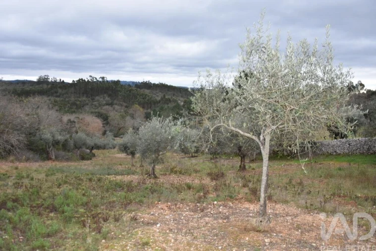 Terreno para Venda em Chãos Foto 20