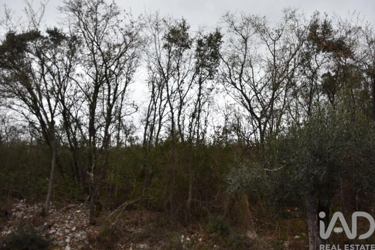 Terreno para Venda em Chãos Foto 22