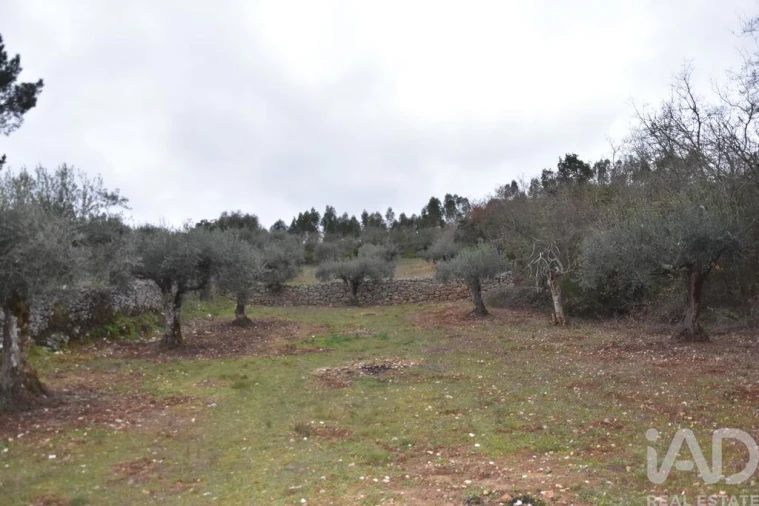 Terreno para Venda em Chãos Foto 16