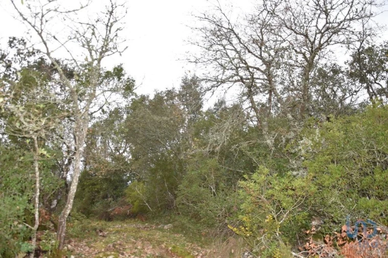 Terreno para Venda em Chãos Foto 5