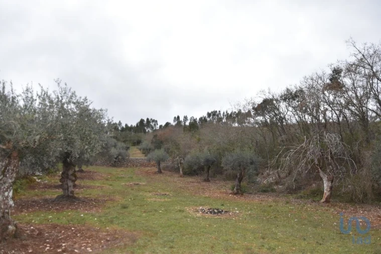 Terreno para Venda em Chãos Foto 15