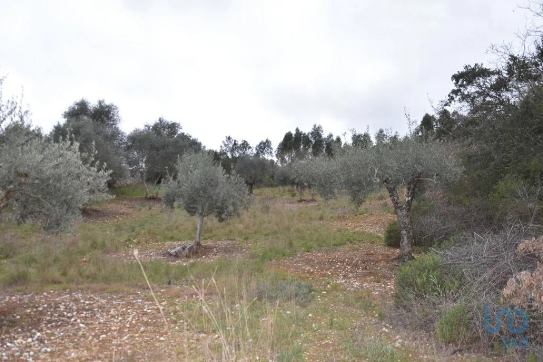Terreno para Venda em Chãos Foto 10