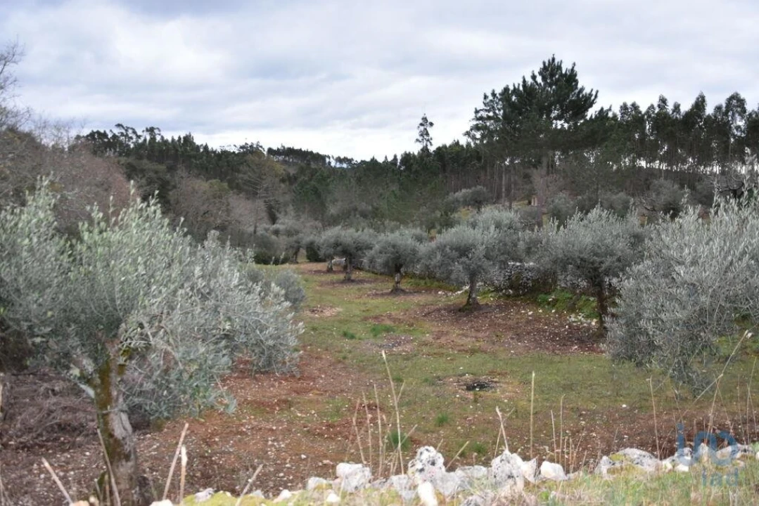 Terreno para Venda em Chãos Foto 9