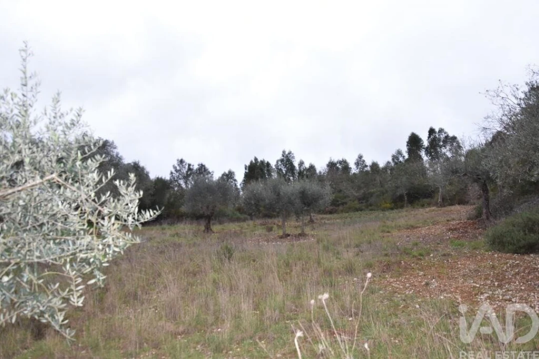 Terreno para Venda em Chãos Foto 18