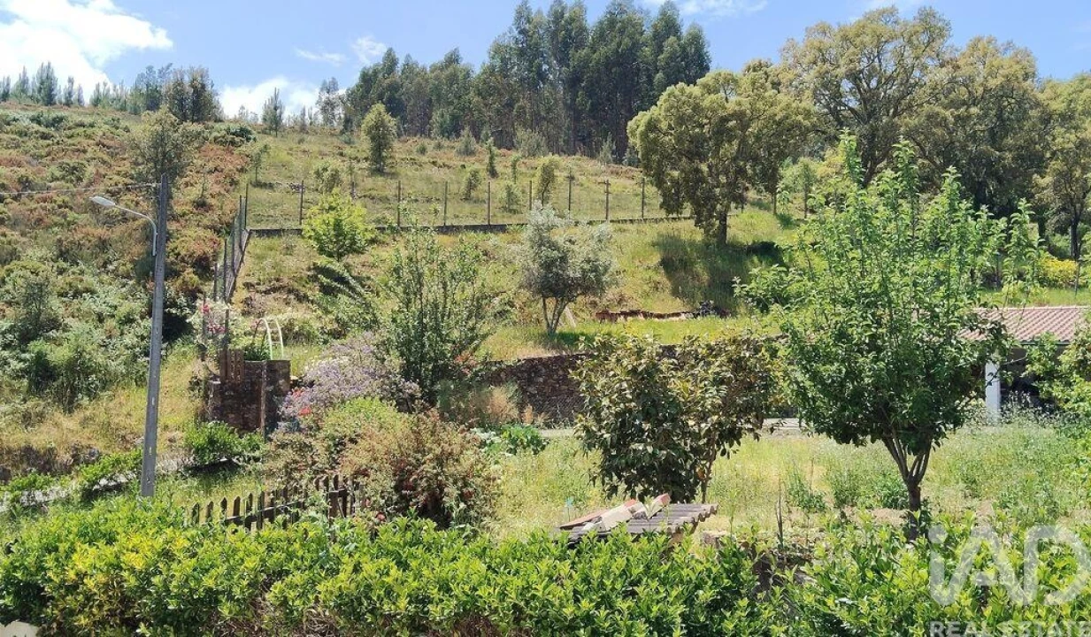 Moradia T4 para Venda em Alvares Foto 2