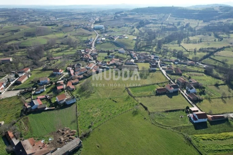 Quinta T3 para Venda em Nogueira Foto 4