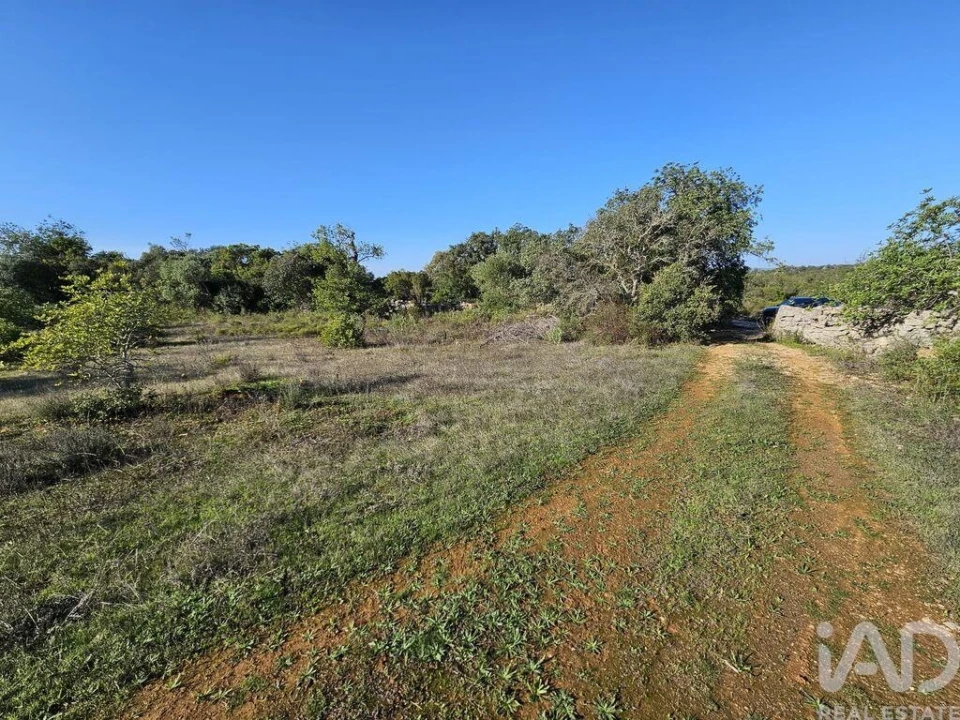 Terreno para Venda em Loule (São Clemente) Foto 18
