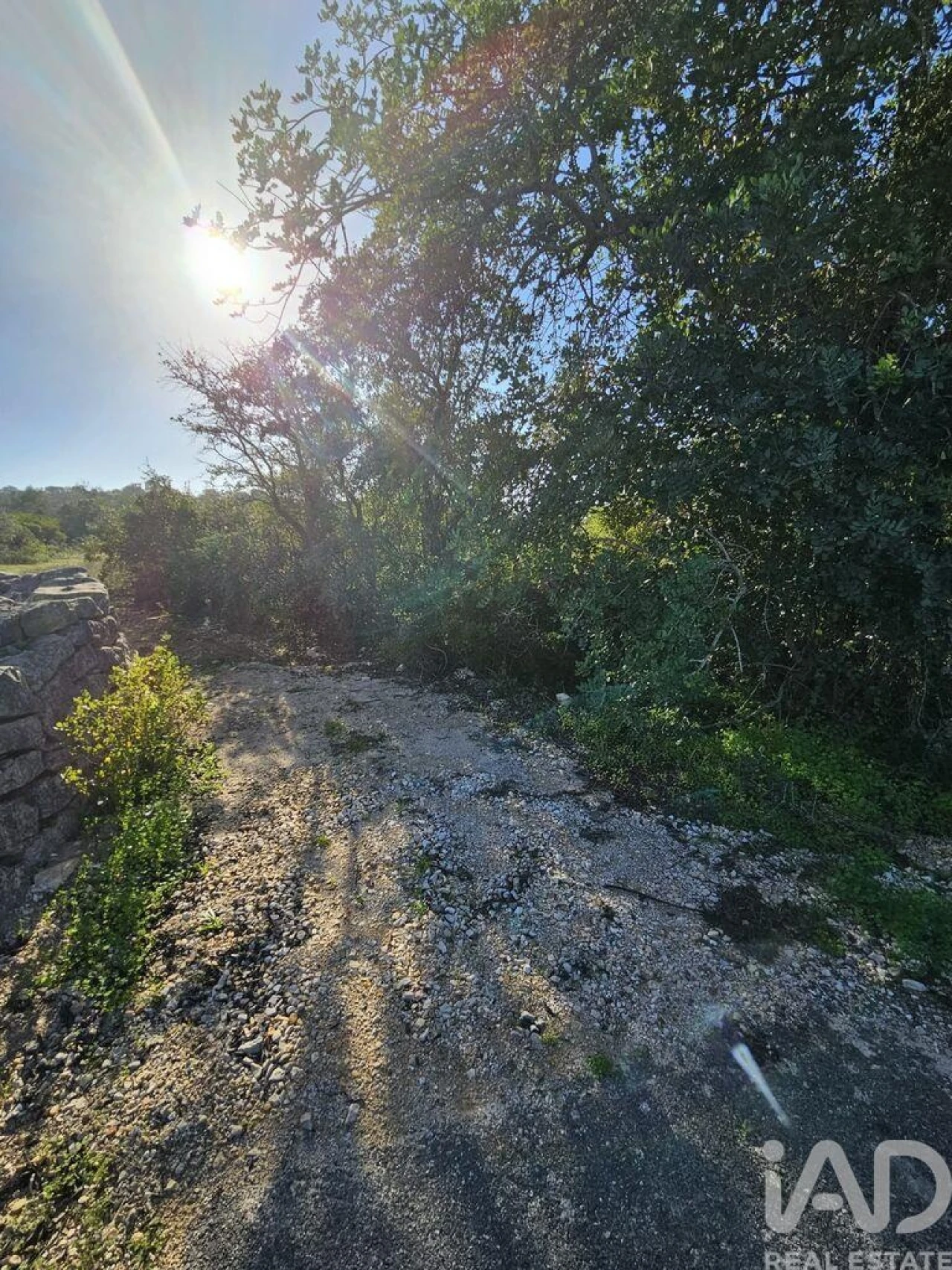 Terreno para Venda em Loule (São Clemente) Foto 19