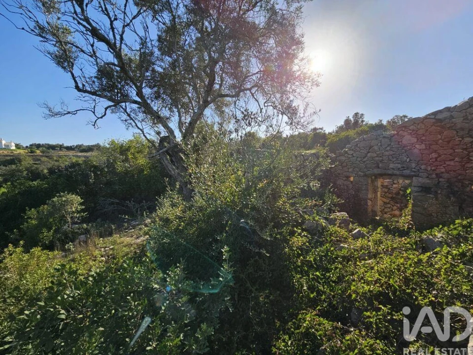 Terreno para Venda em Loule (São Clemente) Foto 6