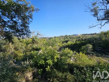Terreno para Venda em Loule (São Clemente)