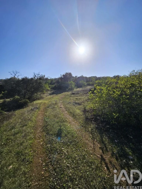 Terreno para Venda em Loule (São Clemente)