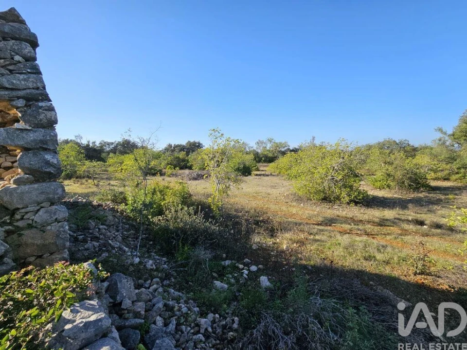 Terreno para Venda em Loule (São Clemente) Foto 9