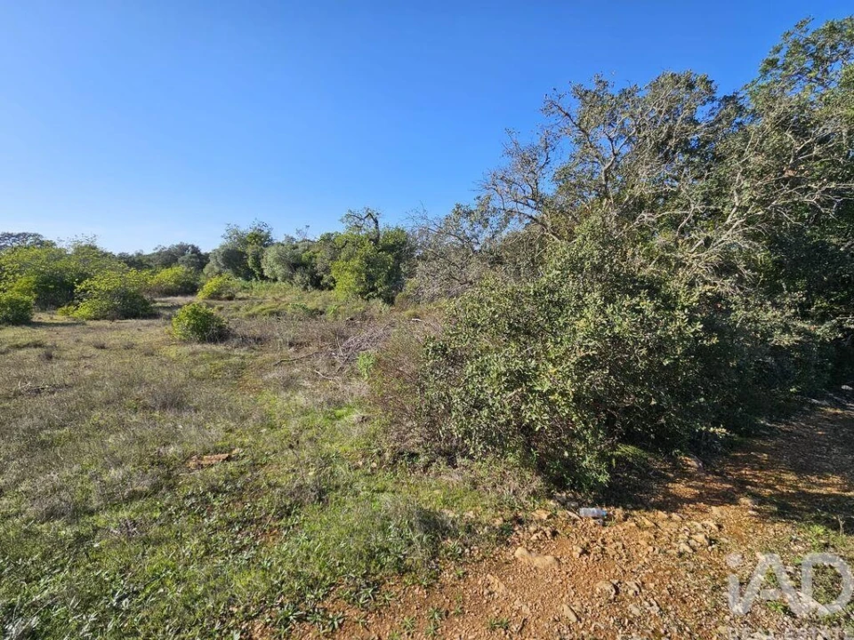 Terreno para Venda em Loule (São Clemente) Foto 20