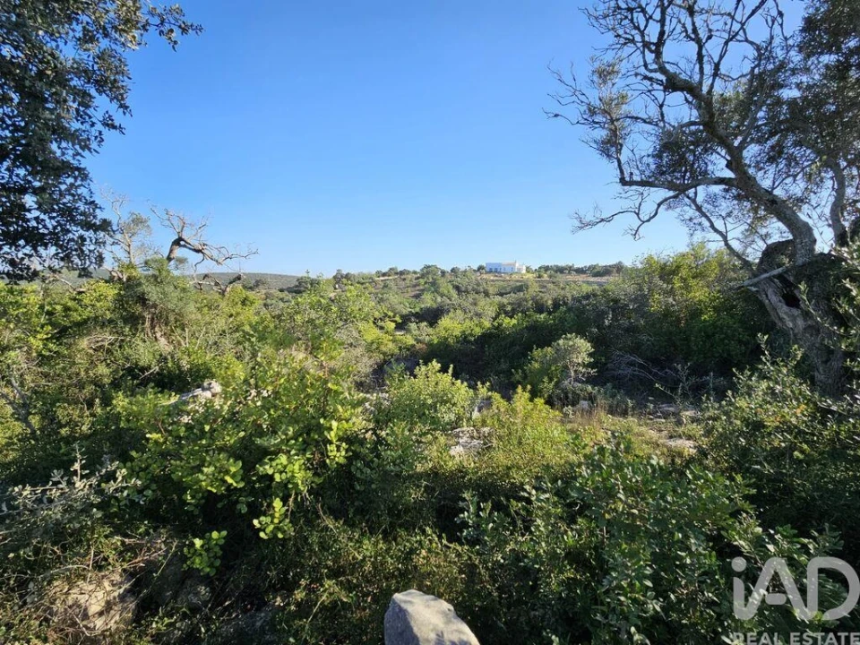 Terreno para Venda em Loule (São Clemente) Foto 10