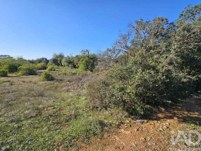 Terreno para Venda em Loule (São Clemente) Foto 20