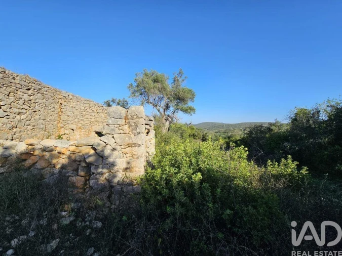 Terreno para Venda em Loule (São Clemente) Foto 13
