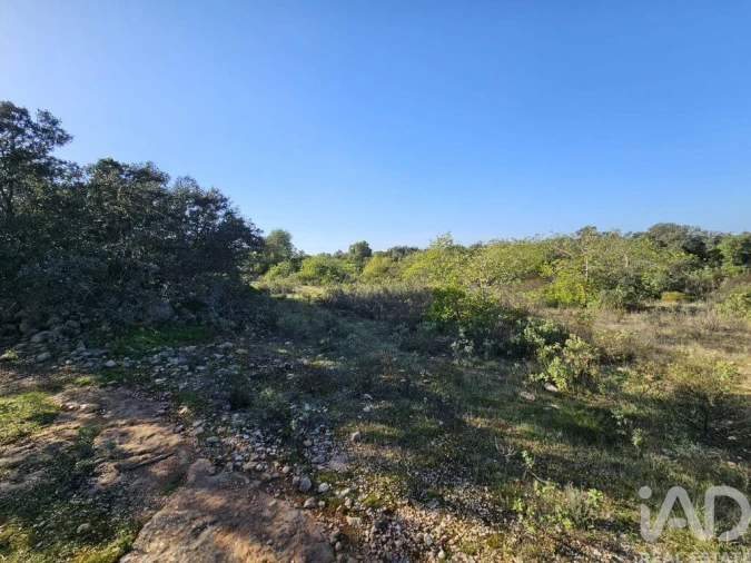 Terreno para Venda em Loule (São Clemente) Foto 23