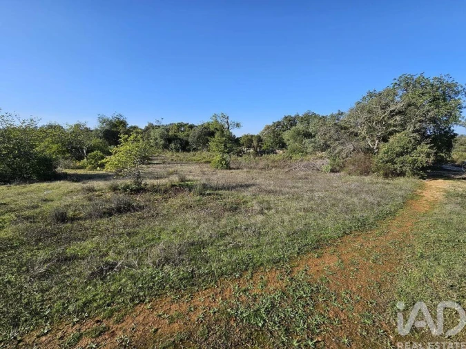 Terreno para Venda em Loule (São Clemente) Foto 24