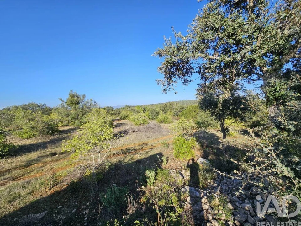 Terreno para Venda em Loule (São Clemente) Foto 7