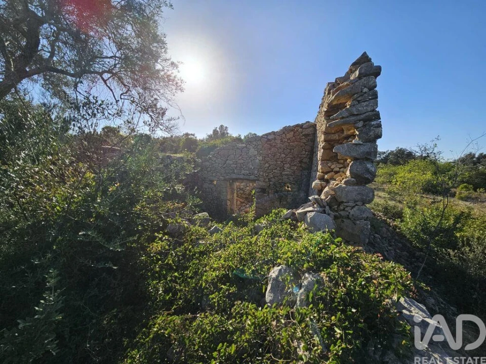 Terreno para Venda em Loule (São Clemente) Foto 12