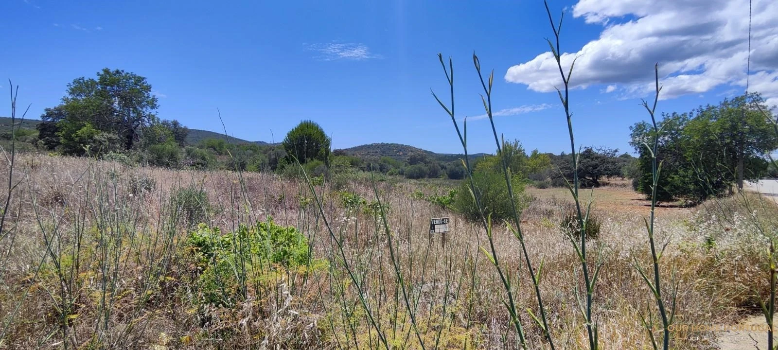 Terreno para Venda em Loule (São Clemente) Foto 5