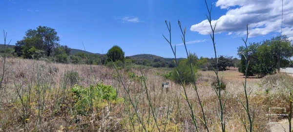 Terreno para Venda em Loule (São Clemente)