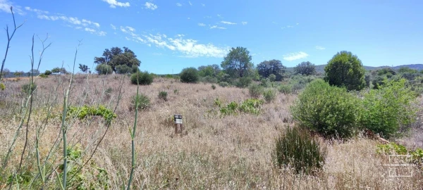 Terreno para Venda em Loule (São Clemente)