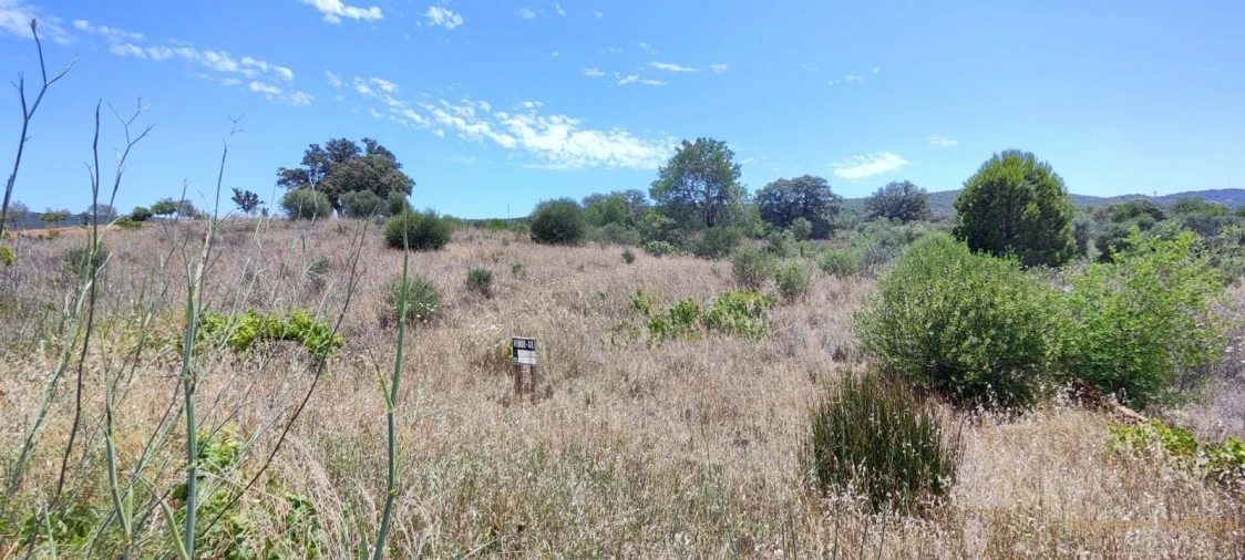 Terreno para Venda em Loule (São Clemente) Foto 4