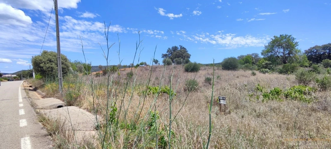 Terreno para Venda em Loule (São Clemente) Foto 2