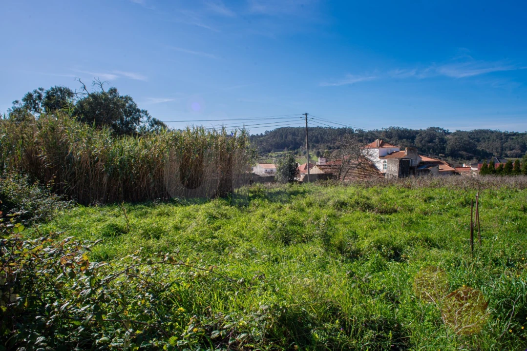 Terreno para Venda em Santa Catarina Foto 3