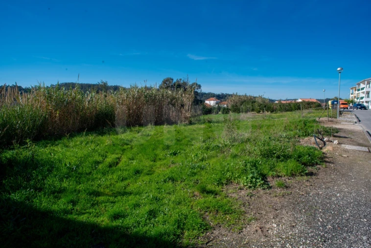 Terreno para Venda em Santa Catarina Foto 5