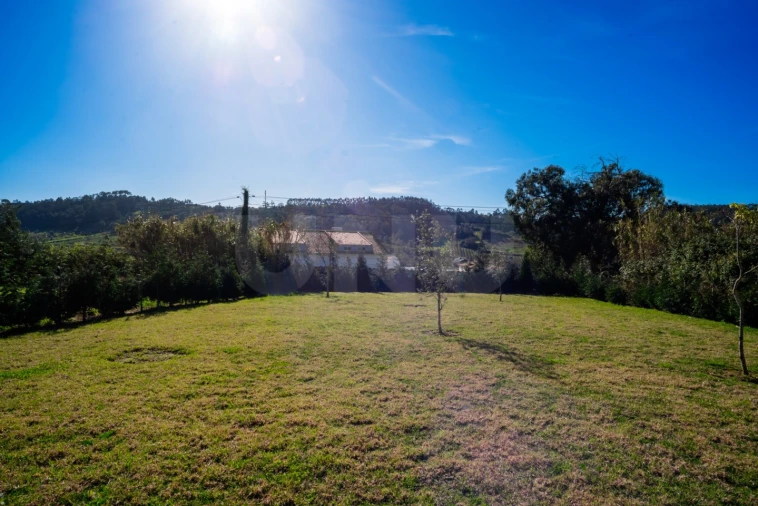 Terreno para Venda em Santa Catarina Foto 5