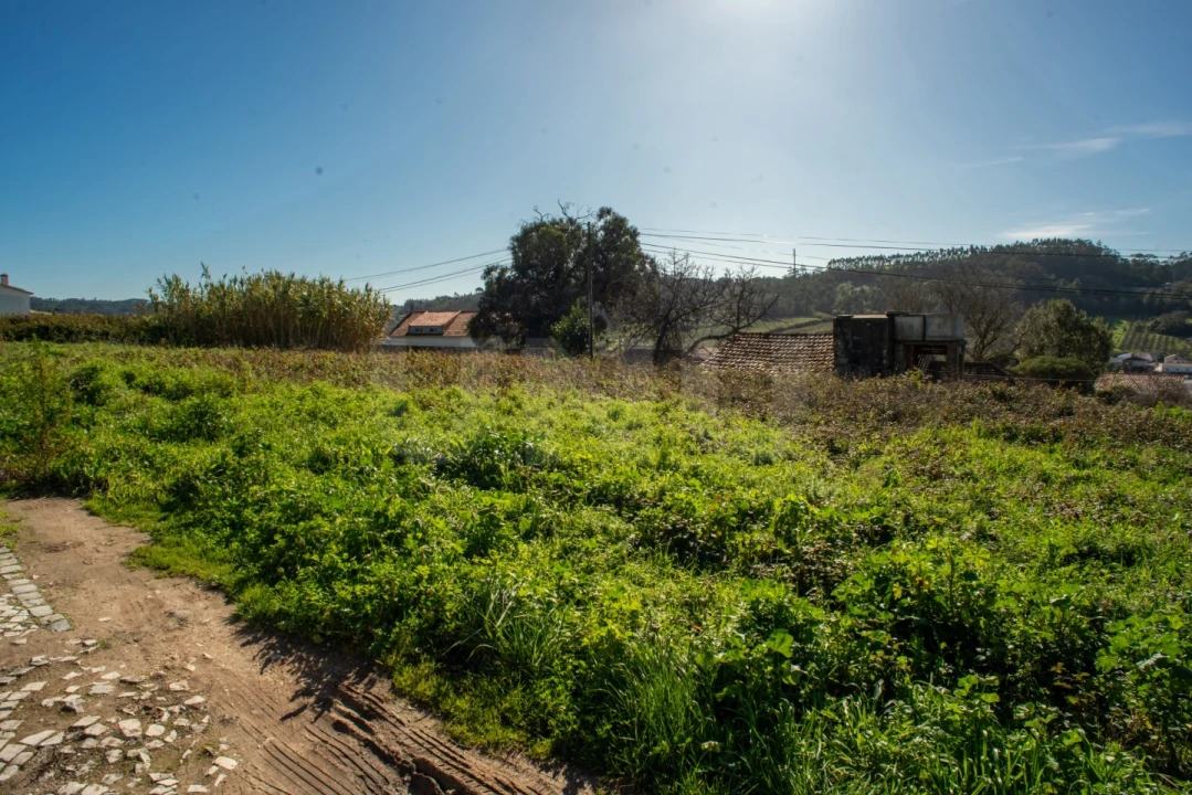 Terreno para Venda em Santa Catarina Foto 6