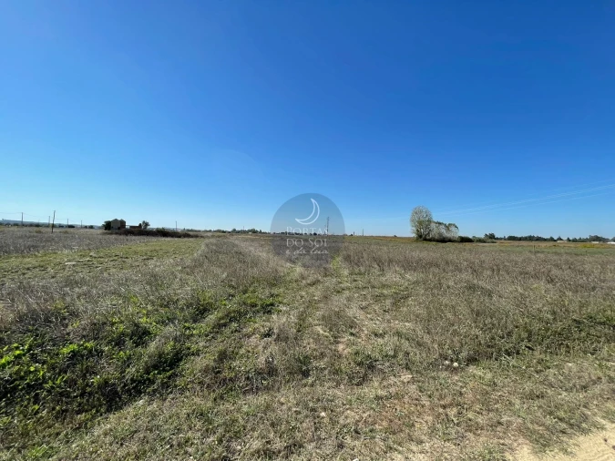 Terreno Agricola ou Rústico para Venda em Alpiarça Foto 3