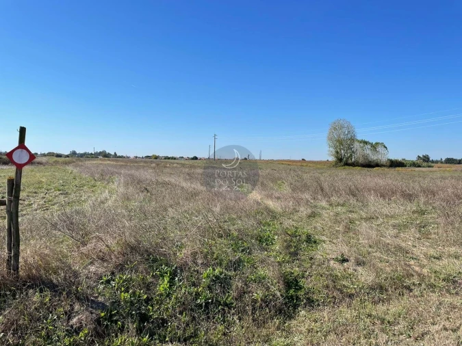 Terreno Agricola ou Rústico para Venda em Alpiarça Foto 2