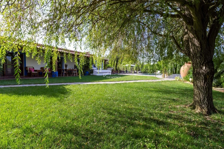 Quinta T13 para Venda em Monsaraz Foto 29