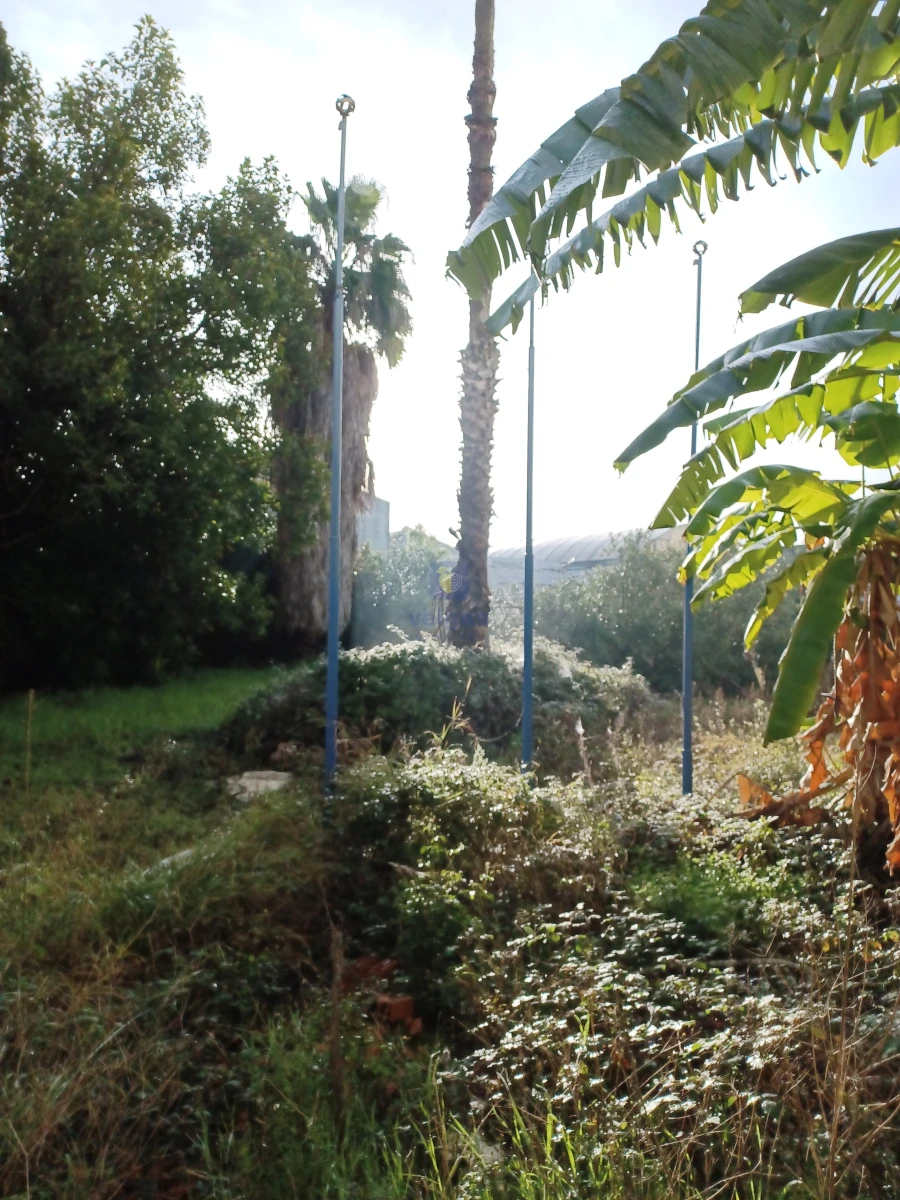 Terreno para Venda em Falagueira-Venda Nova Foto 7