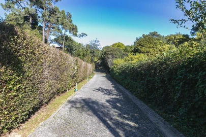 Moradia T4 para Arrendamento em Cascais e Estoril