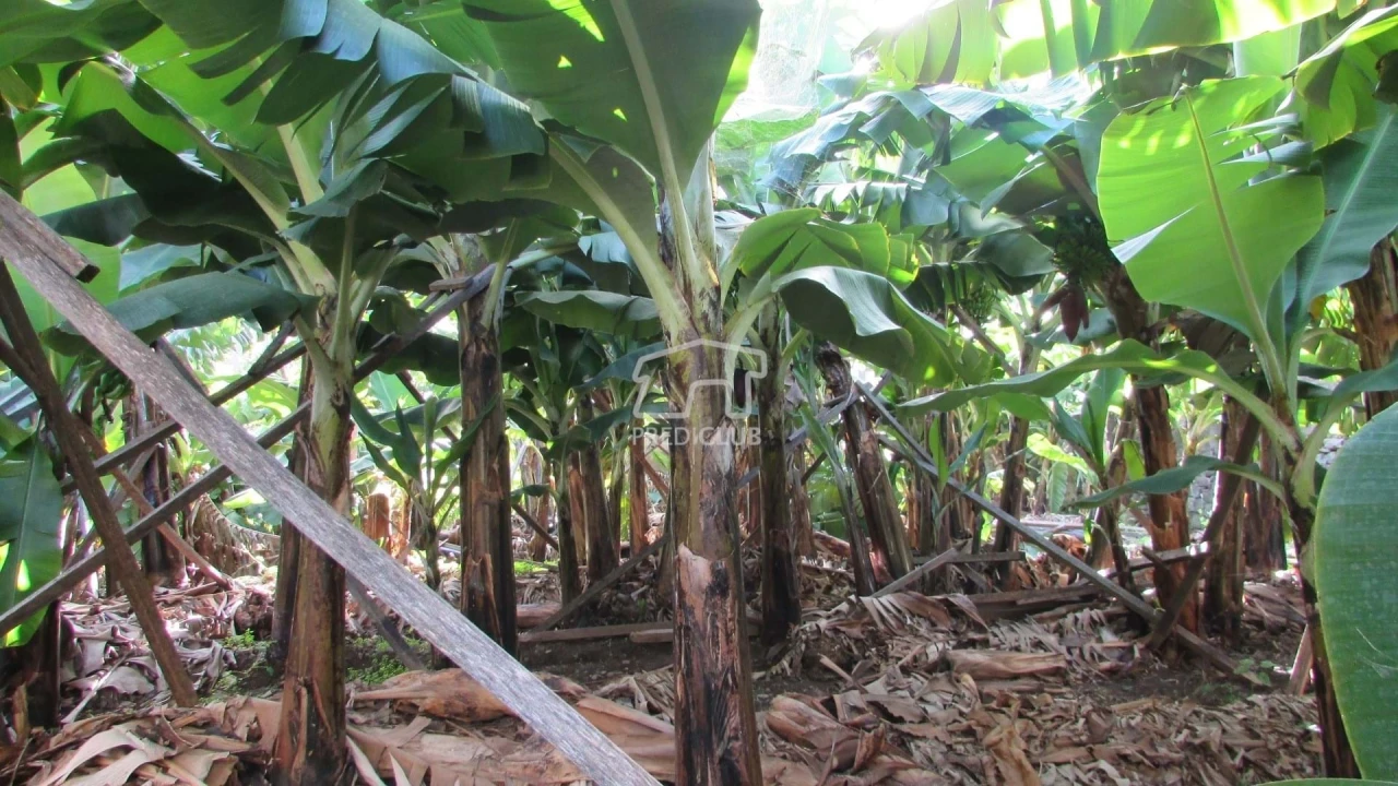 Terreno para Venda em Serra de Agua Foto 10