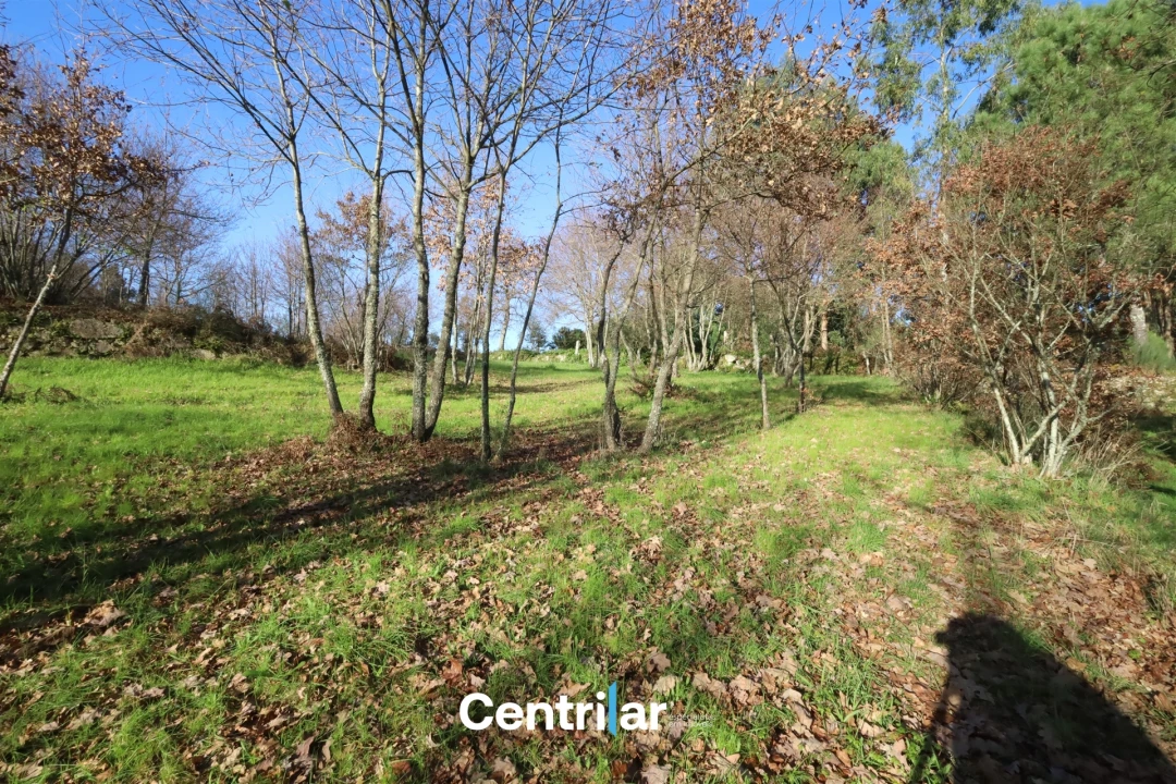 Terreno Agricola ou Rústico para Venda em Santiago de Cassurrães e Póvoa de Cervães Foto 16