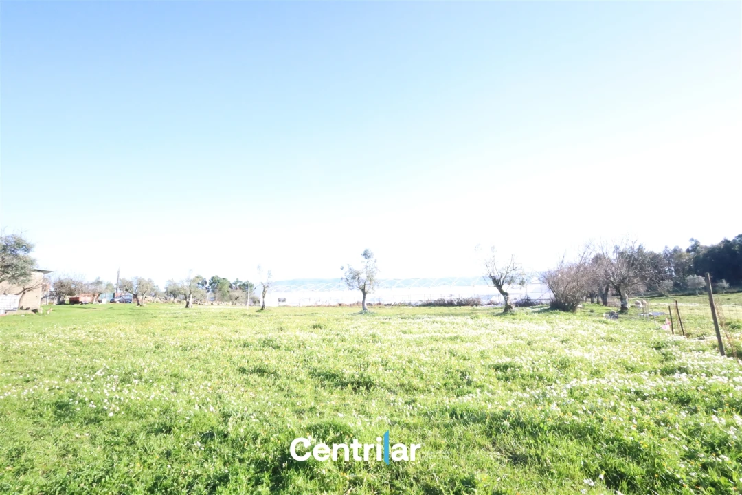 Terreno Agricola ou Rústico para Venda em Santiago de Cassurrães e Póvoa de Cervães Foto 3