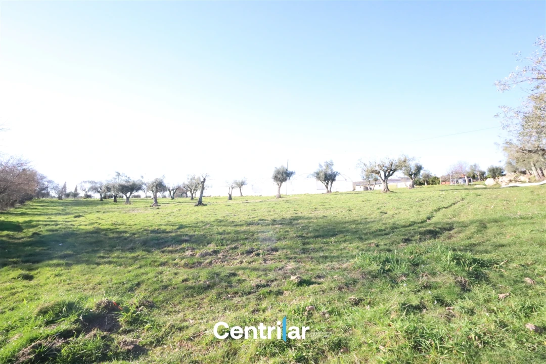 Terreno Agricola ou Rústico para Venda em Santiago de Cassurrães e Póvoa de Cervães Foto 7