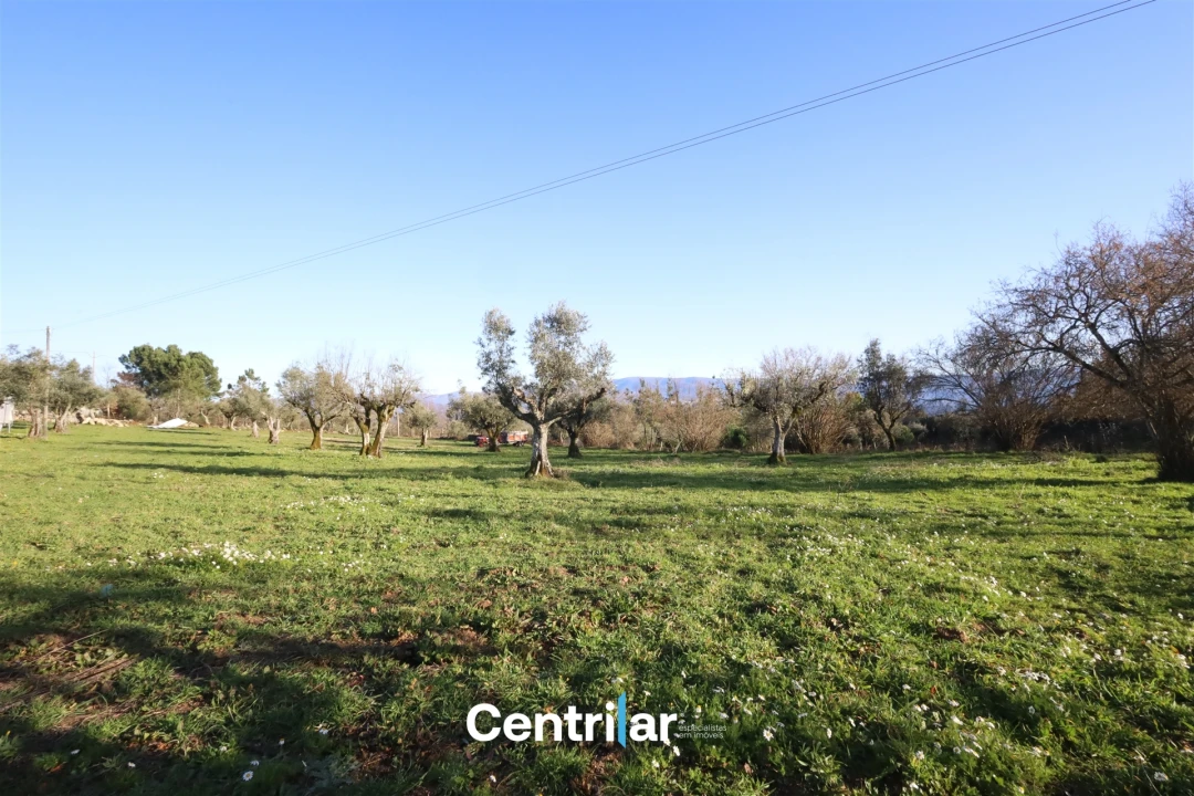 Terreno Agricola ou Rústico para Venda em Santiago de Cassurrães e Póvoa de Cervães Foto 23
