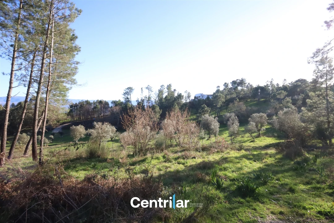 Terreno Agricola ou Rústico para Venda em Santiago de Cassurrães e Póvoa de Cervães Foto 14